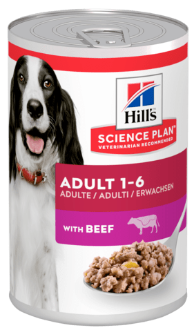 Hills Adult with Beef