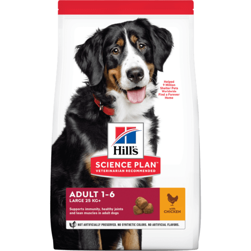 Hills Adult Large Breed with Chicken