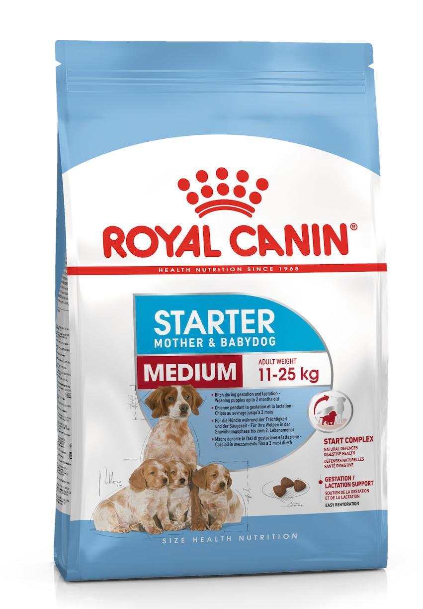 Royal Canin Medium Starter M&B