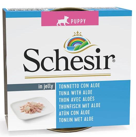 Schesir Puppy Tuna With Aloe in jelly