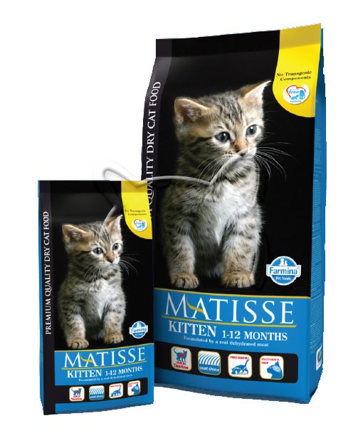 Matisse Kitten 36/14
