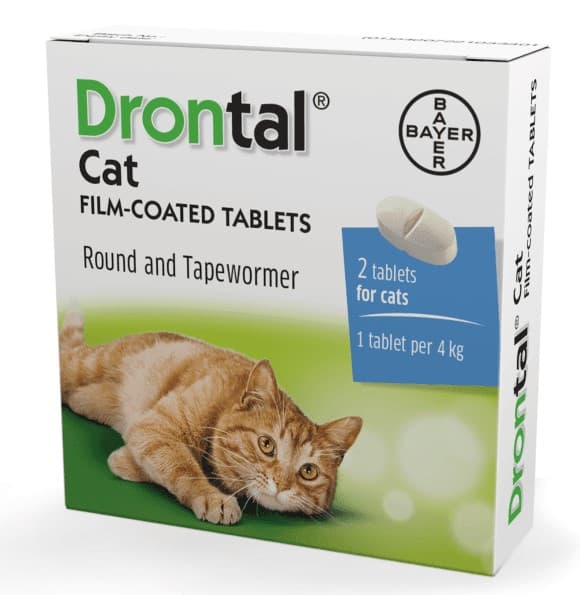 Bayer Drontal Cat