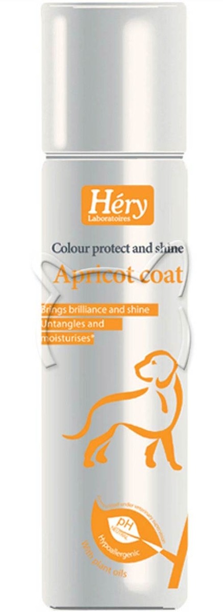 Hery Apricot Coat Color Protect and Shine