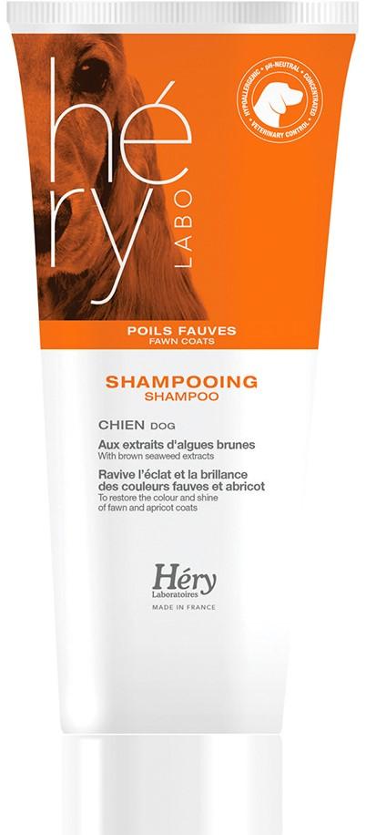 Hery Apricot Coat Shampoo