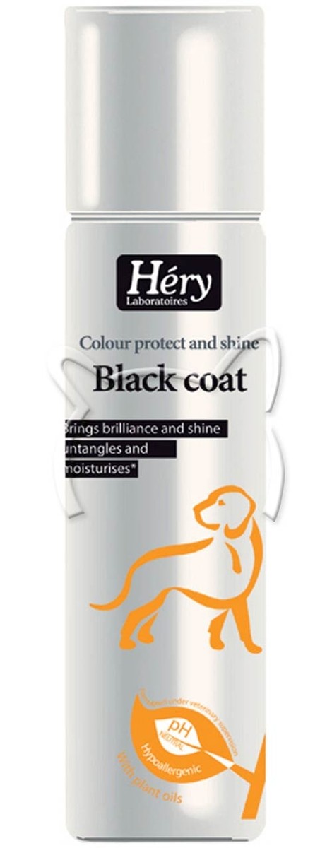 Hery Black Coat Color Protect and Shine